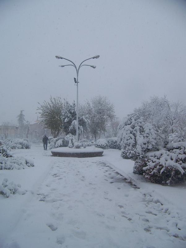 nieve 14 - 12 - 09 085